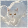 Аватар: Леночка Деточка