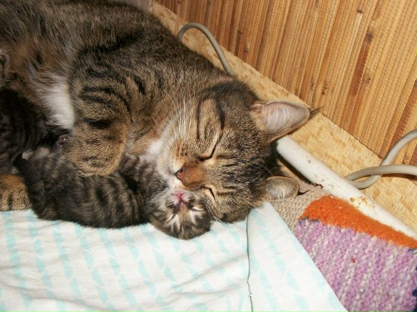 №11, Ольга Ефанова №11, Ольга Ефанова