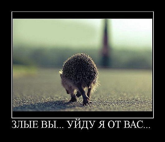 Миша Марейчев | Ярославль