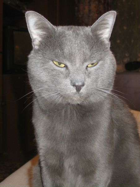 №18, Николай Трушляков, 31 год №18, Николай Трушляков, 31 год