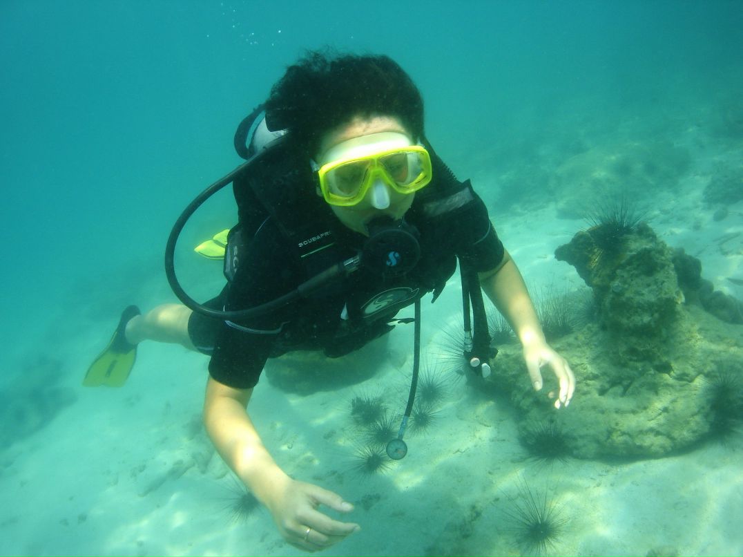 Александра Халис | Москва