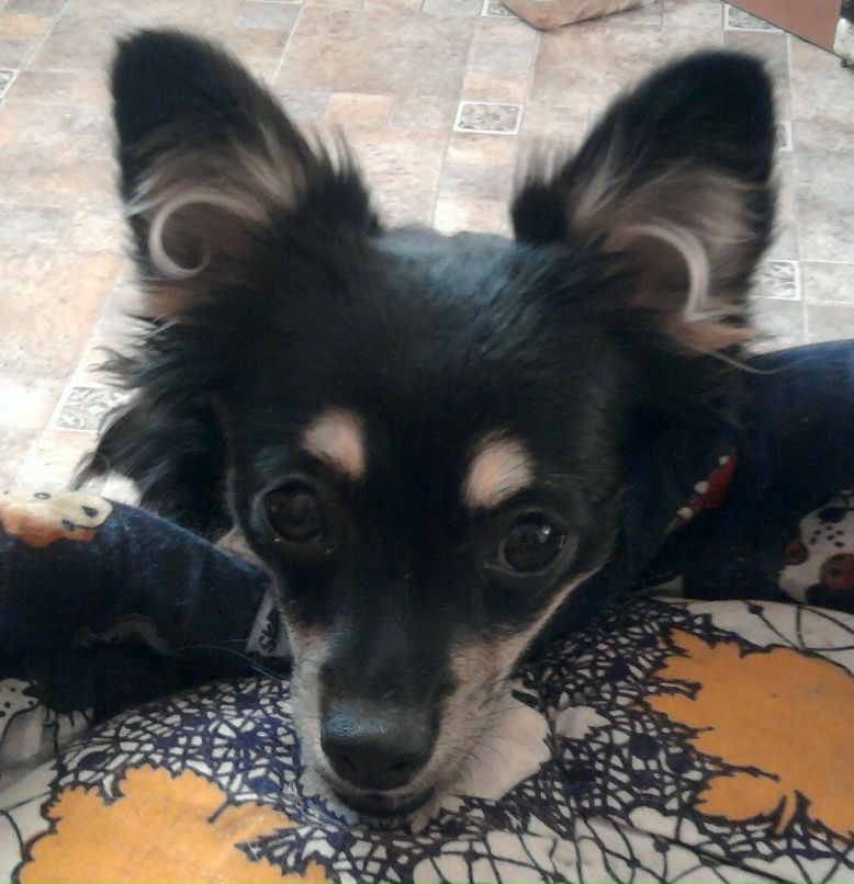 Ирина Амелина | Санкт-Петербург