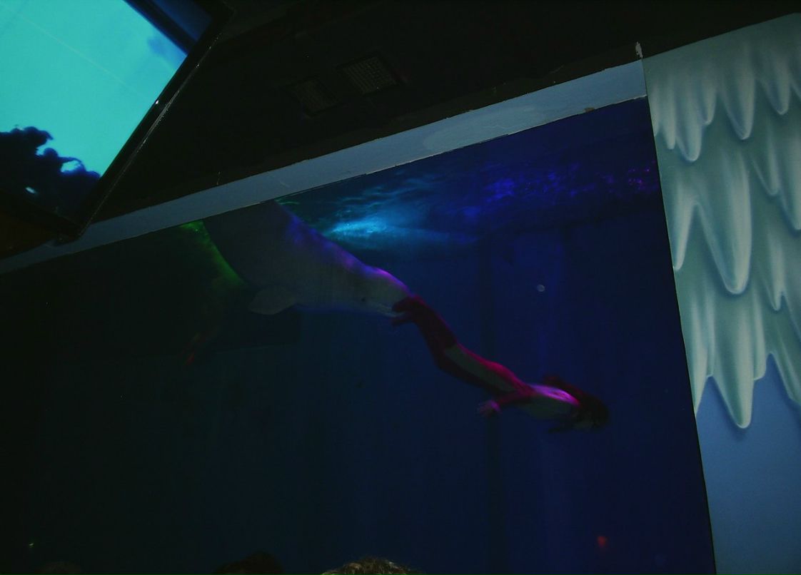 Сергей Пономарев ˙·٠✈ | Новосибирск