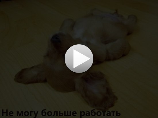 Татьяна Писемская | Днестровск