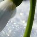 Светлана Смирнова | Новосибирск