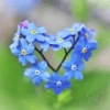 Аватар: Эля Дельцова