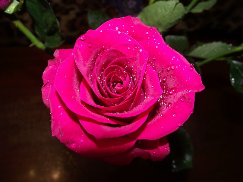 Анна Токарь | Челябинск