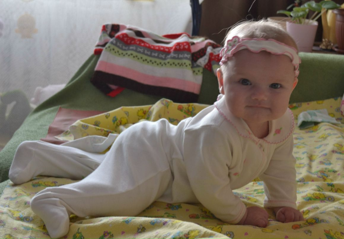 Лена Шельдякова | Сокол