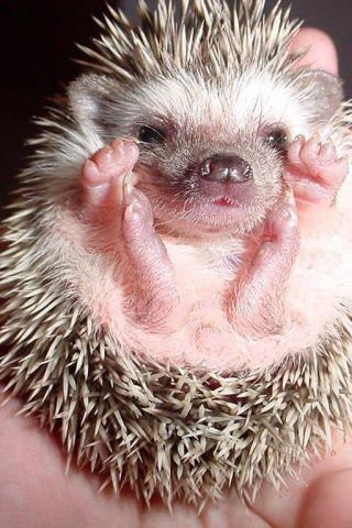 Виталий Пупкин | Нижний Новгород