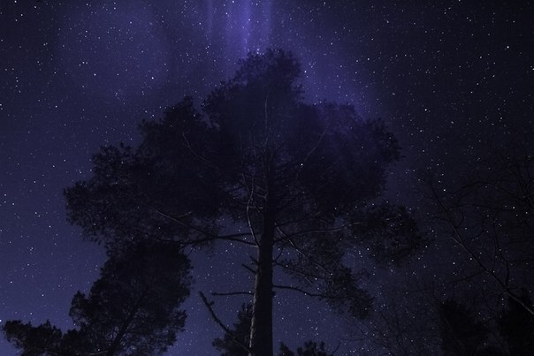 Kot Kitiket | Санкт-Петербург