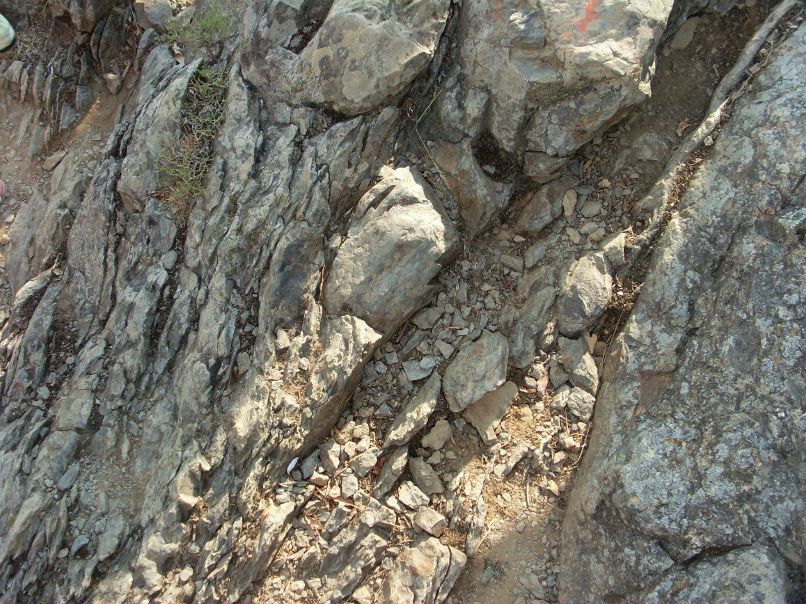 Игорь Турусов | Нижний Новгород