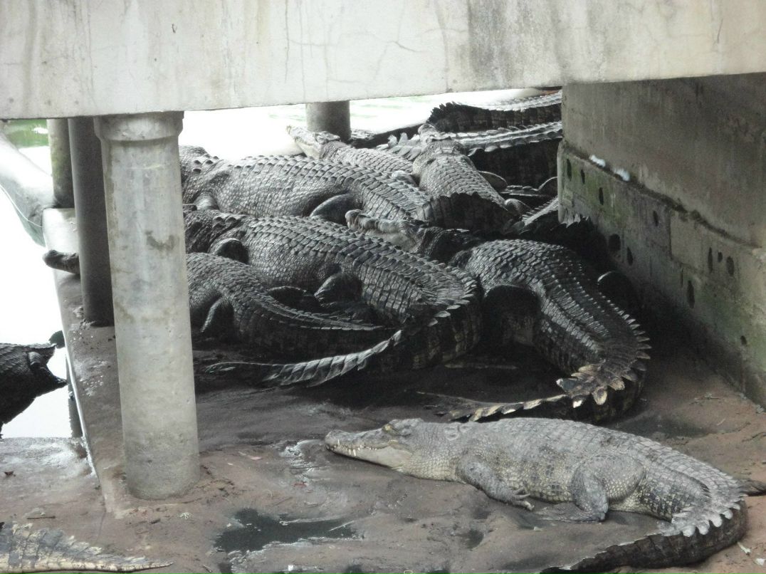 Роман Слесаренко | Красноярск