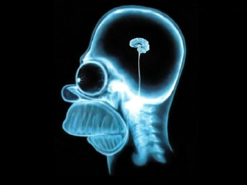 Иван Ноздрин | Санкт-Петербург