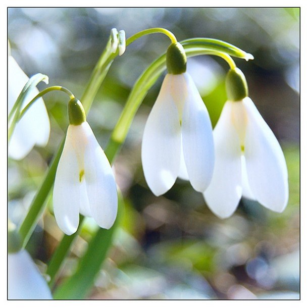 Елена Лебедева | Darmstadt