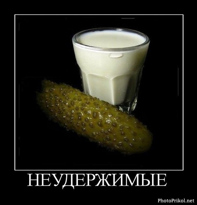 Анна Манохина | 