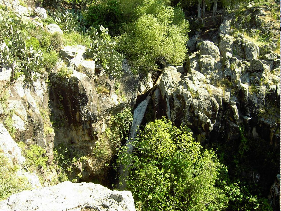 Макс Мельников | Иерусалим