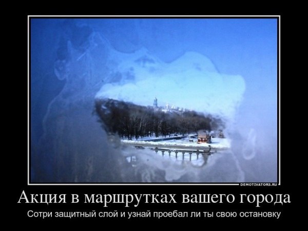 Максим Басов | 