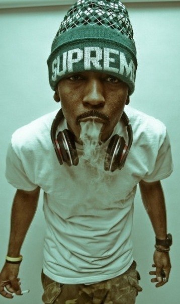 Никитко Mustlive Енот♂ | Минск