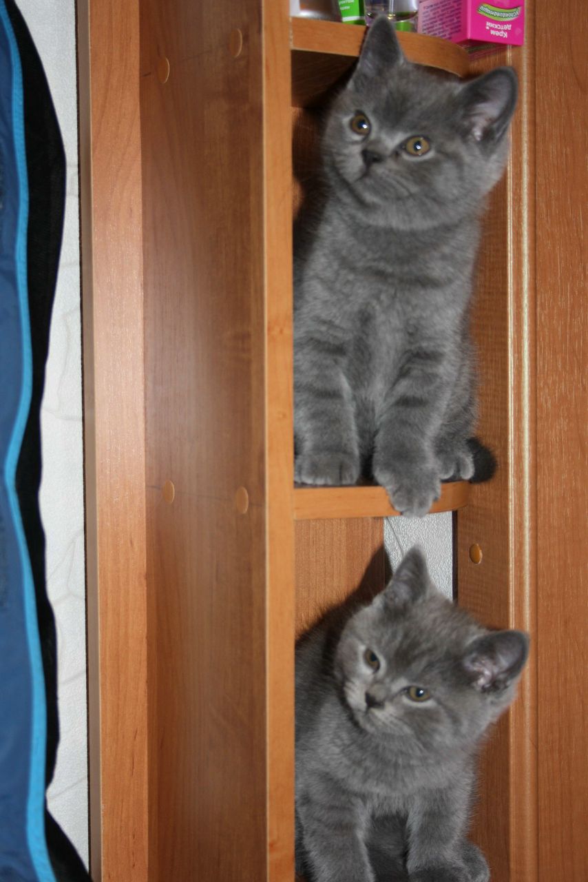 Александра Морозова | Кондопога