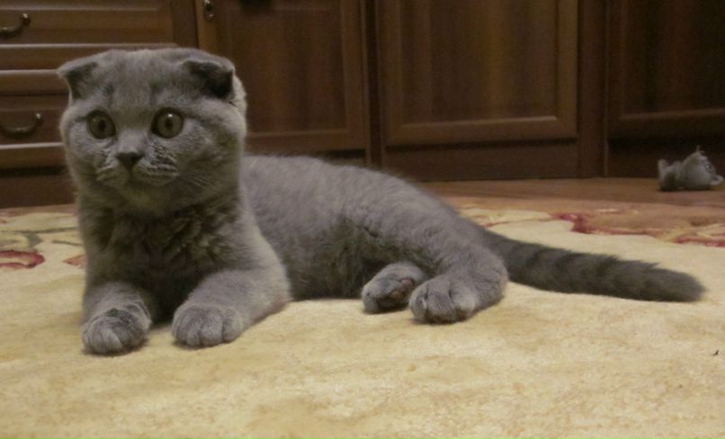 Сергей Костин | Москва