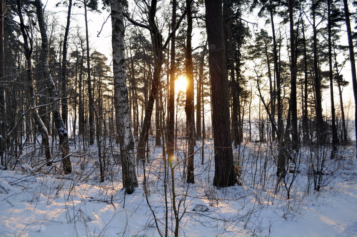 Марина Кветкова | Санкт-Петербург