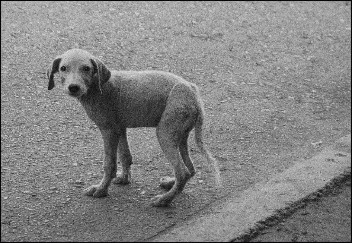Андрюха Иванов | Санкт-Петербург