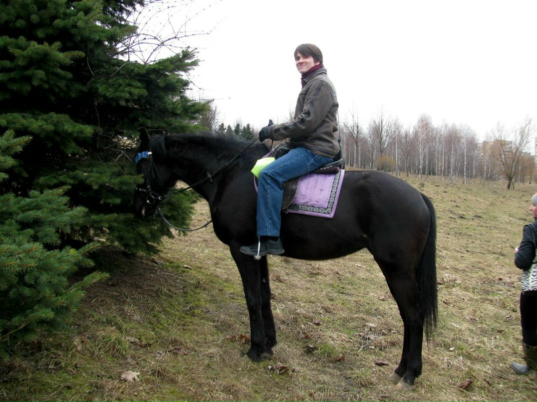 Николай Городецкий Aveal Coldman | Минск