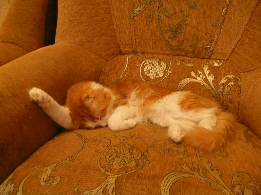 Никита Бунаков | Орёл