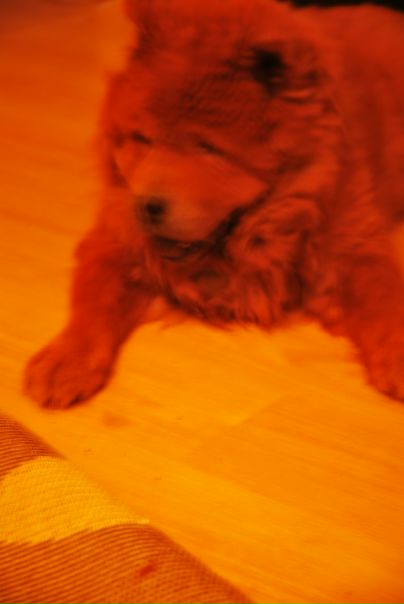 №150, Артемий Панкратов, 15.11, Москва №150, Артемий Панкратов, 15.11, Москва