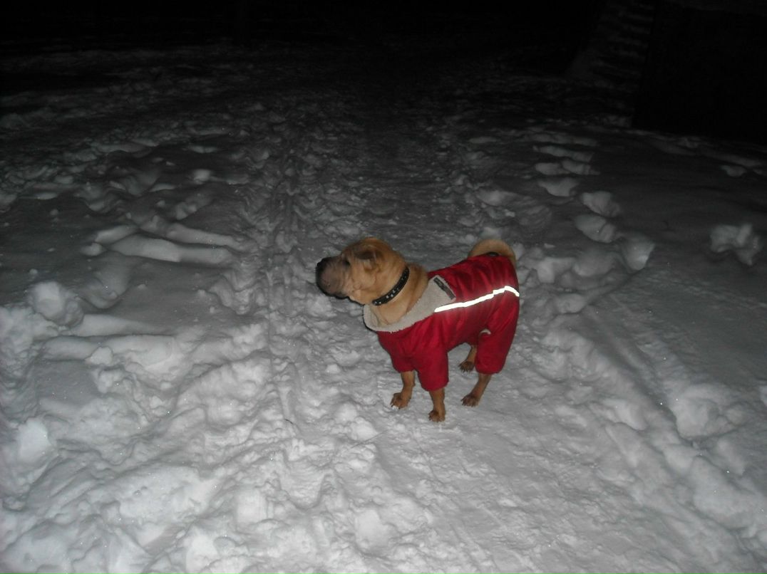 Артем Наговицын | Белая Церковь