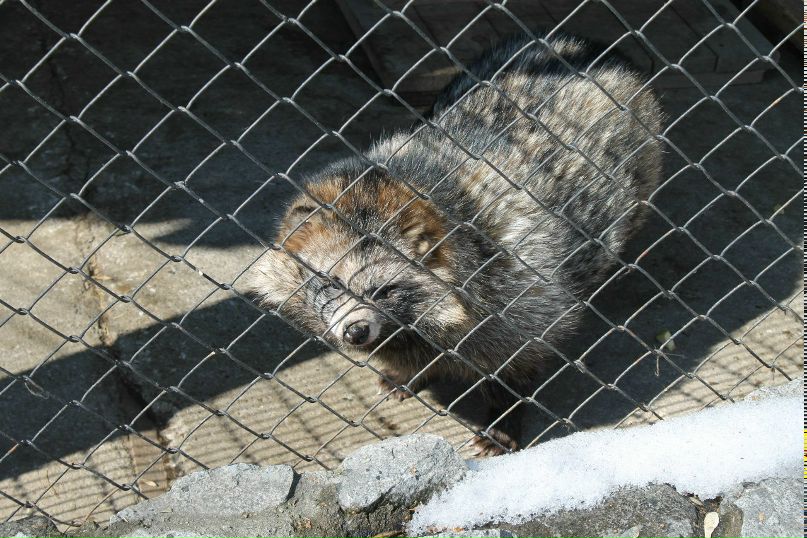 Аня Лочехина | Санкт-Петербург