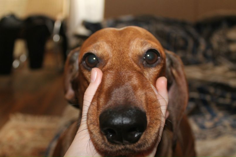 Максим Игумнов | Санкт-Петербург