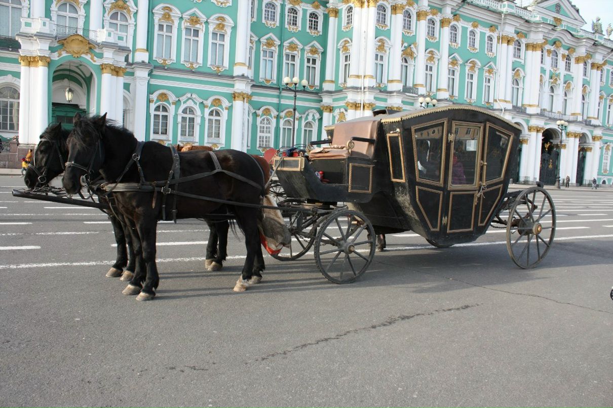 Елена Чернышова | Алматы