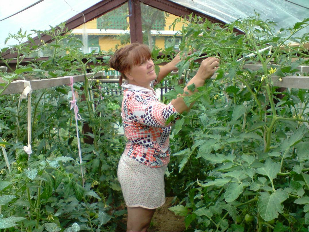 Людмила Пахомчик | Орша