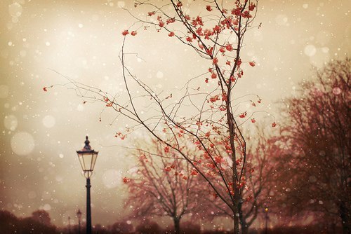 Юлия Павлова | 