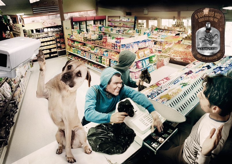 Илья Алеев | 