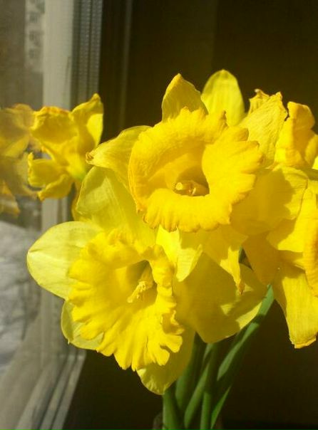 №9, Любовь Летюк, Москва №9, Любовь Летюк, Москва