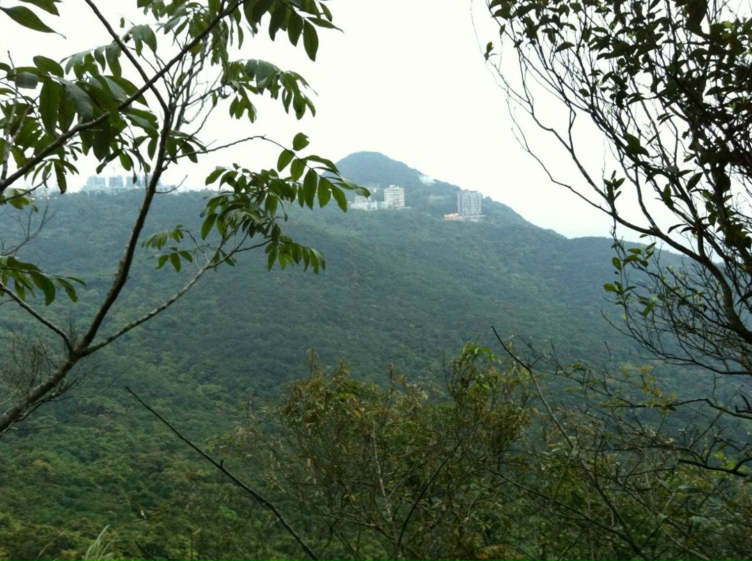 Оксана Драгун | 