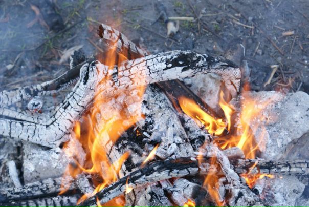 №144, Давид Давыдов, Москва №144, Давид Давыдов, Москва