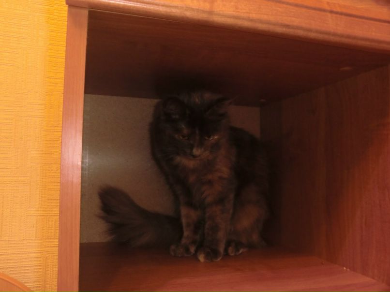 Рафаэль Хасанов | Уфа