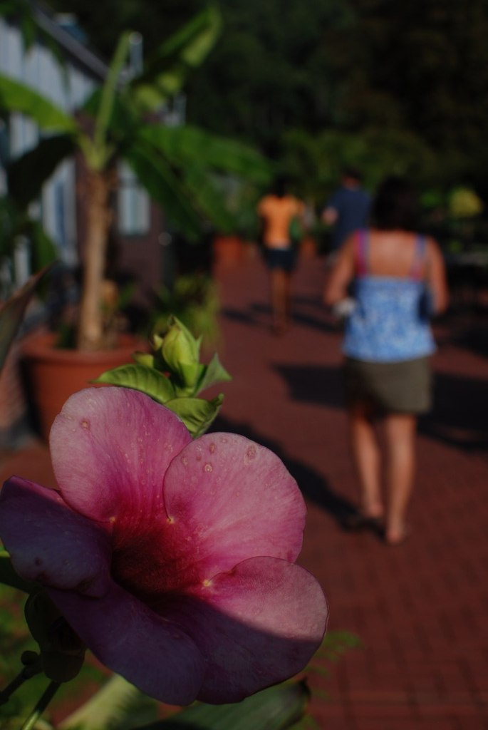 Ольга Роганова | Myrtle Beach