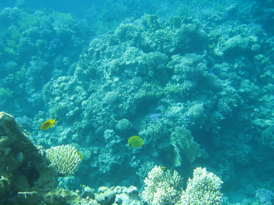 Надежда Кропачева | Киров