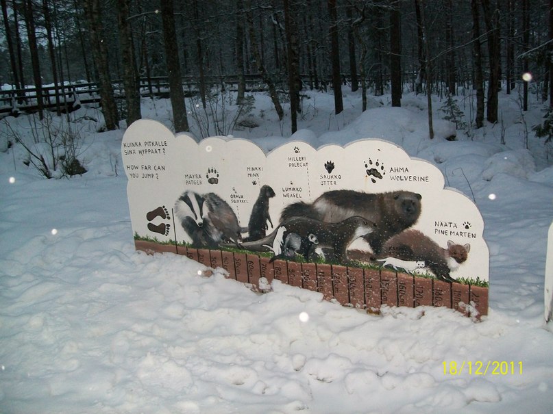 Алина Ескина *без подруги не как* | Костомукша