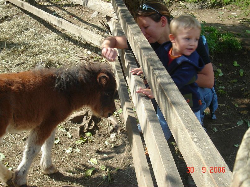 Ольга Кузьмина | Славянск