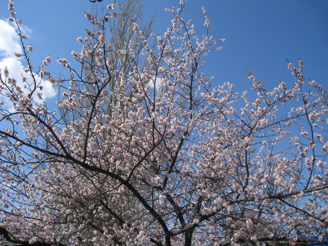 Юлия Дименкова | Краматорск