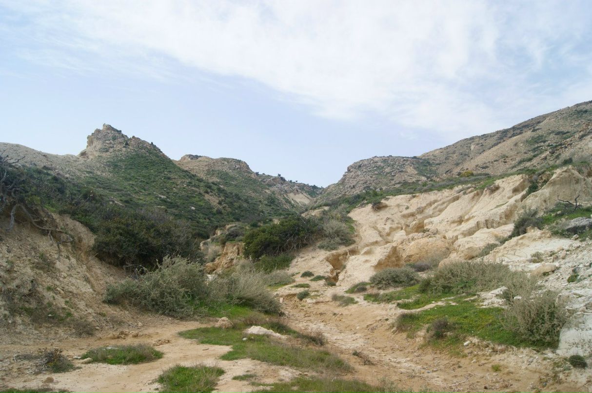 Анатолий Зырянов | Москва