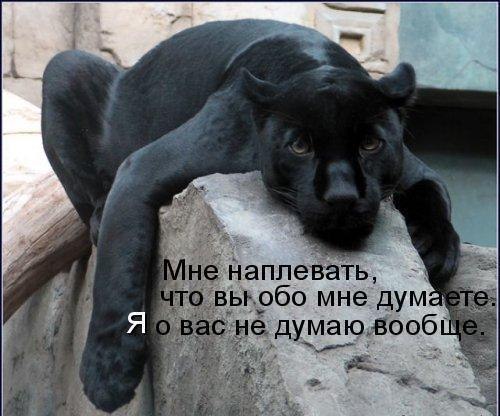 Дмитрий Лазарев | Пермь