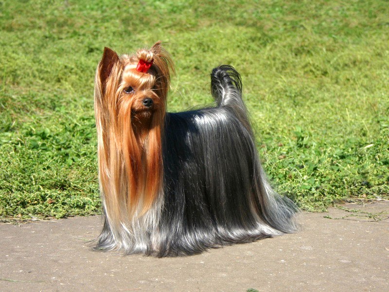 Алёна Вербовская | Киев