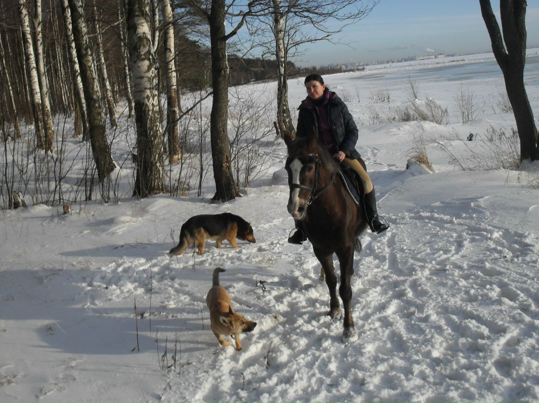 Елена Николаева | Санкт-Петербург
