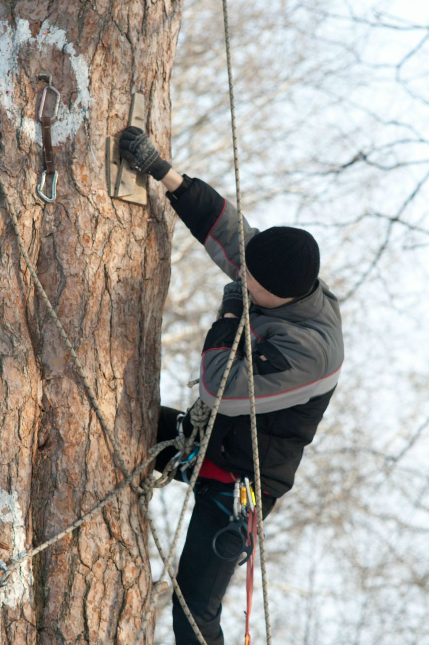 Евгений Михеев | Йошкар-Ола